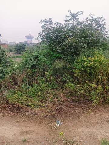  Plot For Sale in Madhuban Bapudham