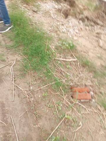 Plot Area in  Plot at Madhuban Bapudham – for Sale