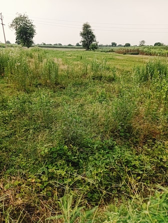 Plot For Resale in Madhuban Bapudham Ghaziabad  7530726