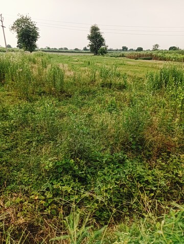 Plot Area in  Plot at Madhuban Bapudham – for Sale