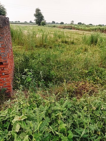 Plot Area in  Plot at Madhuban Bapudham – for Sale