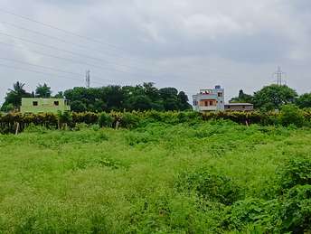 Plot For Resale in Mhasrul Gaon Nashik  7530739