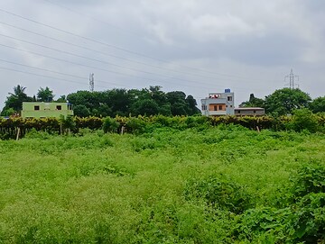 Plot For Sale in Mhasrul Gaon