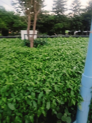  Plot – Garden View at Govindpuram - for Sale