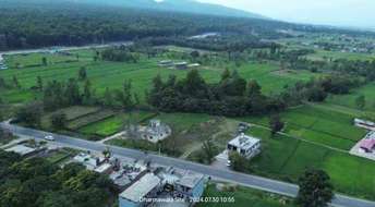 Plot For Resale in Herbertpur Dehradun  7530938