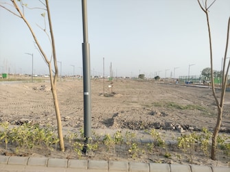 Plot For Resale in Aerocity Mohali  7531160