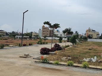 Plot For Resale in Bannerghatta Road Bangalore  7531301