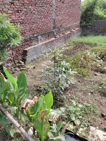  Plot – Garden View at Achheja - for Sale
