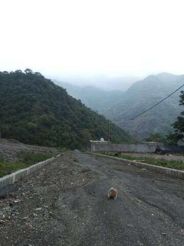 Plot Area in  Plot at Sahastradhara – for Sale