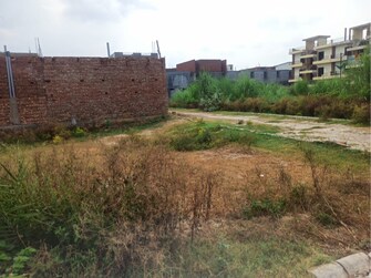 Plot For Resale in Ubber Garden Enclave Central Derabassi Chandigarh  7531539