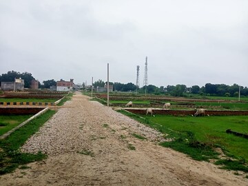 Plot Area in  Plot at Mohanlalganj – for Sale