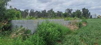 Plot For Resale in Bagaluru  Bangalore  7531985