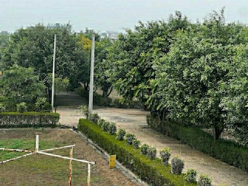 Plot For Resale in Jewar Greater Noida  7532013