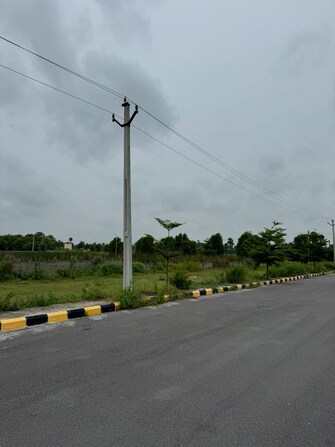 Plot For Resale in Pasumamula Hyderabad  7529621