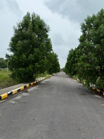 Plot For Resale in Pasumamula Hyderabad  7529621