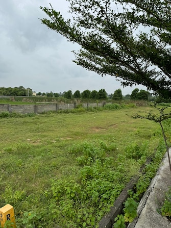 Plot For Resale in Pasumamula Hyderabad  7529621