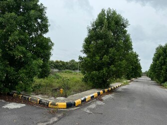 Plot For Resale in Pasumamula Hyderabad  7529621