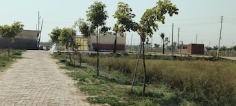 Plot For Resale in Nh 2 Mathura  7532076