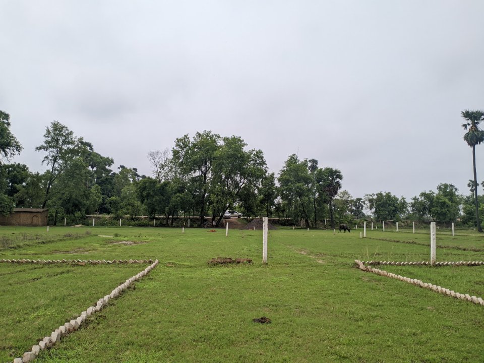 Plot For Resale in Naubatpur Patna  7532271