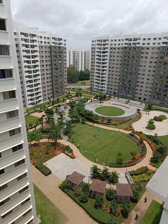 2 BHK Apartment For Rent in Sobha Dream Acres Panathur Bangalore  7532650