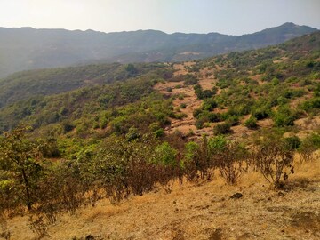 Plot Area in  Plot at Mangaon – for Sale
