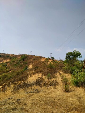 Plot Area in  Plot at Mangaon – for Sale