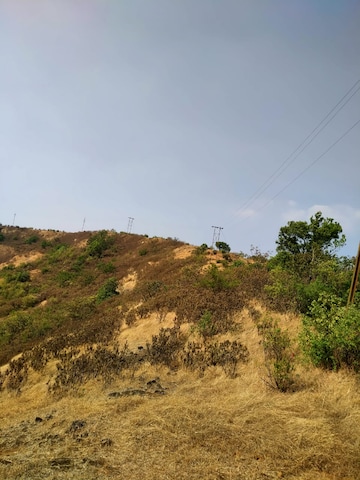 Plot Area in  Plot at Mangaon – for Sale