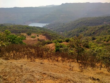 Plot Area in  Plot at Mangaon – for Sale