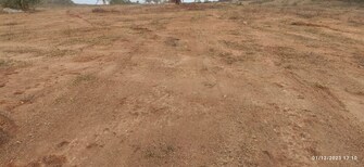 Plot For Resale in Rajat Vihar Noida  7534492