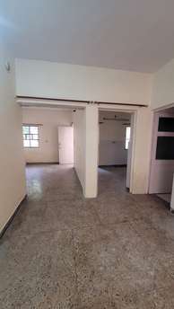 2 BHK Apartment For Rent in Kewal Grover Dilshad Garden Dilshad Garden Delhi  7534619