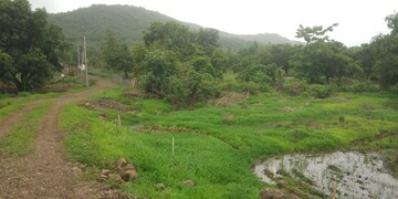 Plot Area in  Plot at Pen – for Sale