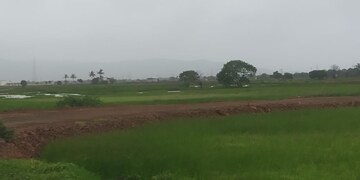 Plot Area in  Plot at Pen – for Sale