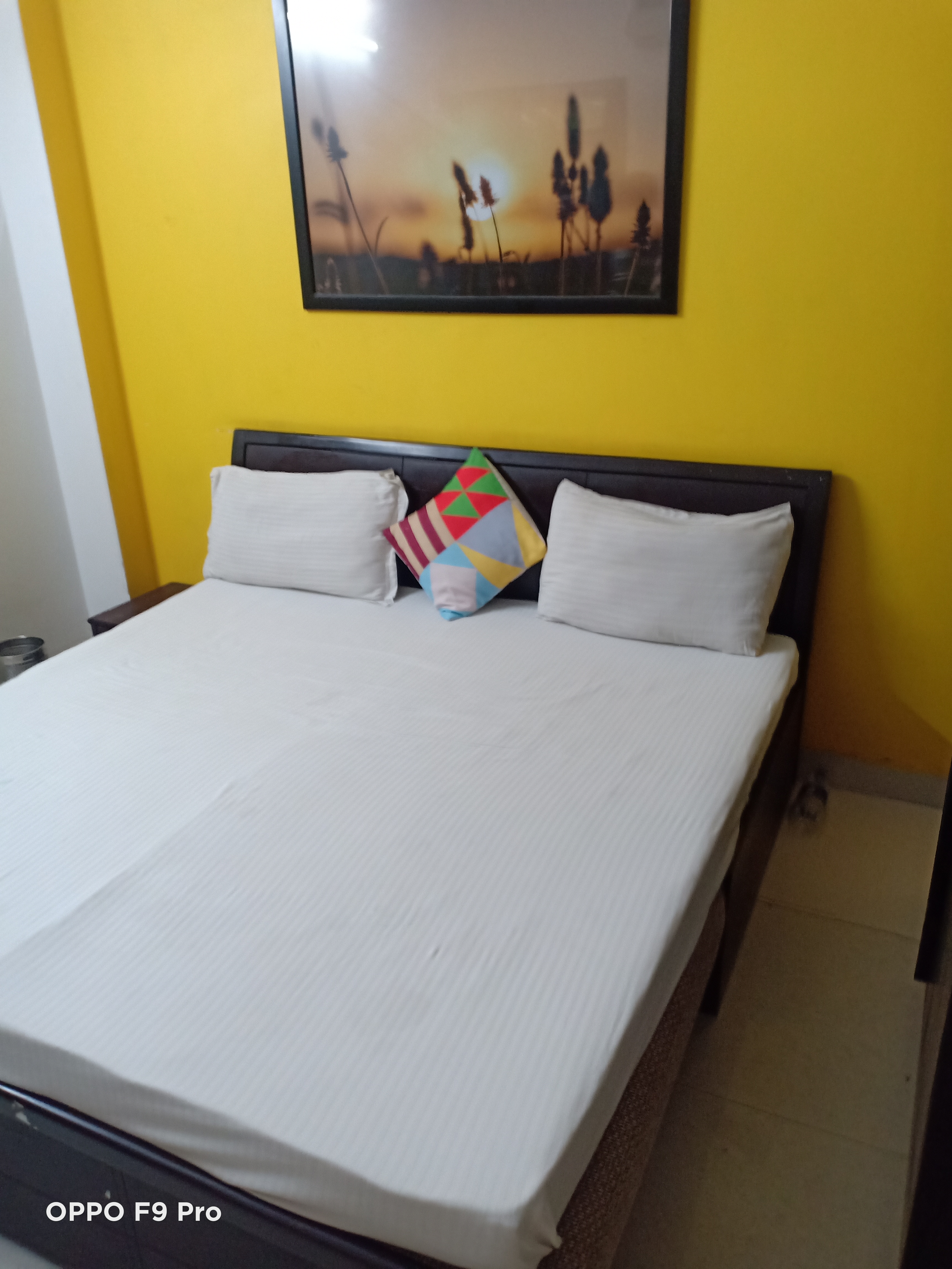 Rental 3 Bedroom 1000 Sq.Ft. Builder Floor in Rohini Sector 8 Delhi 7534820