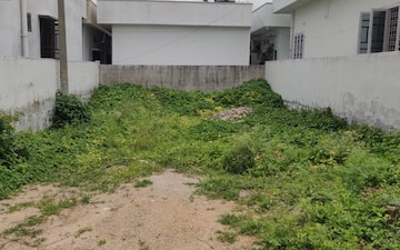 Plot For Sale in Subhash Nagar