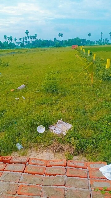  Plot For Sale in Bihta
