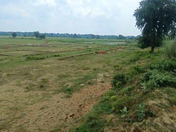 Plot Area in  Plot at Kisan Path – for Sale
