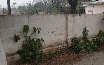 Plot For Sale in Shaheed Bhagat Singh Nagar
