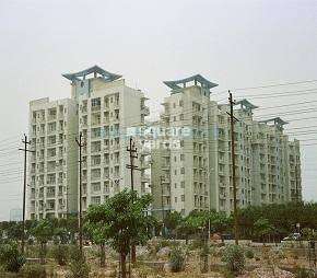 3 BHK Apartment For Rent in Mahagun Maestro Sector 50 Noida  7535522