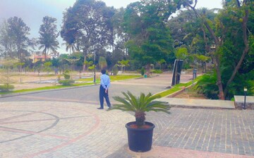 Plot For Sale in Bannerghatta