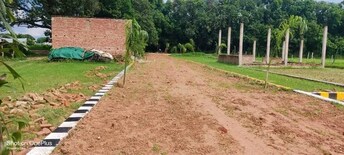 Plot For Resale in Gomti Nagar Lucknow  7536230