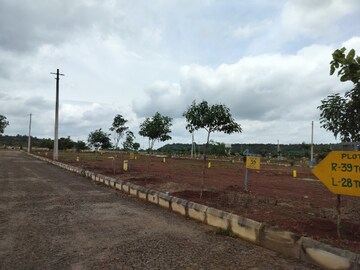 Plot Area in  Plot at Kamkole – for Sale