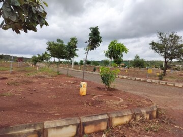 Plot Area in  Plot at Kamkole – for Sale