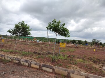 Plot Area in  Plot at Budhera – for Sale