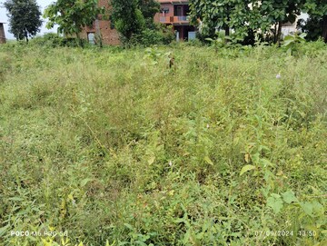  Plot – Garden View at Chakrata - for Sale