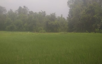 Land For Sale in Lucknow Road