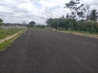 Plot For Resale in Palasamudram Chittoor  7536656