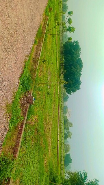  Plot – Map Location View at Chaumuhan - for Sale