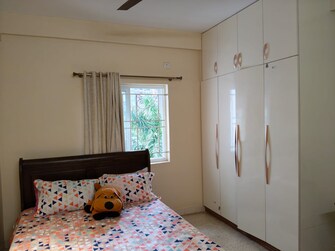 2 BHK Apartment For Rent in Pride Apartments Bannerghatta Road Bangalore  7536798