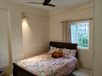 2 BHK Apartment For Rent in Pride Apartments Bannerghatta Road Bangalore  7536798