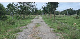 Plot For Resale in Bukkasagara Bangalore  7537418